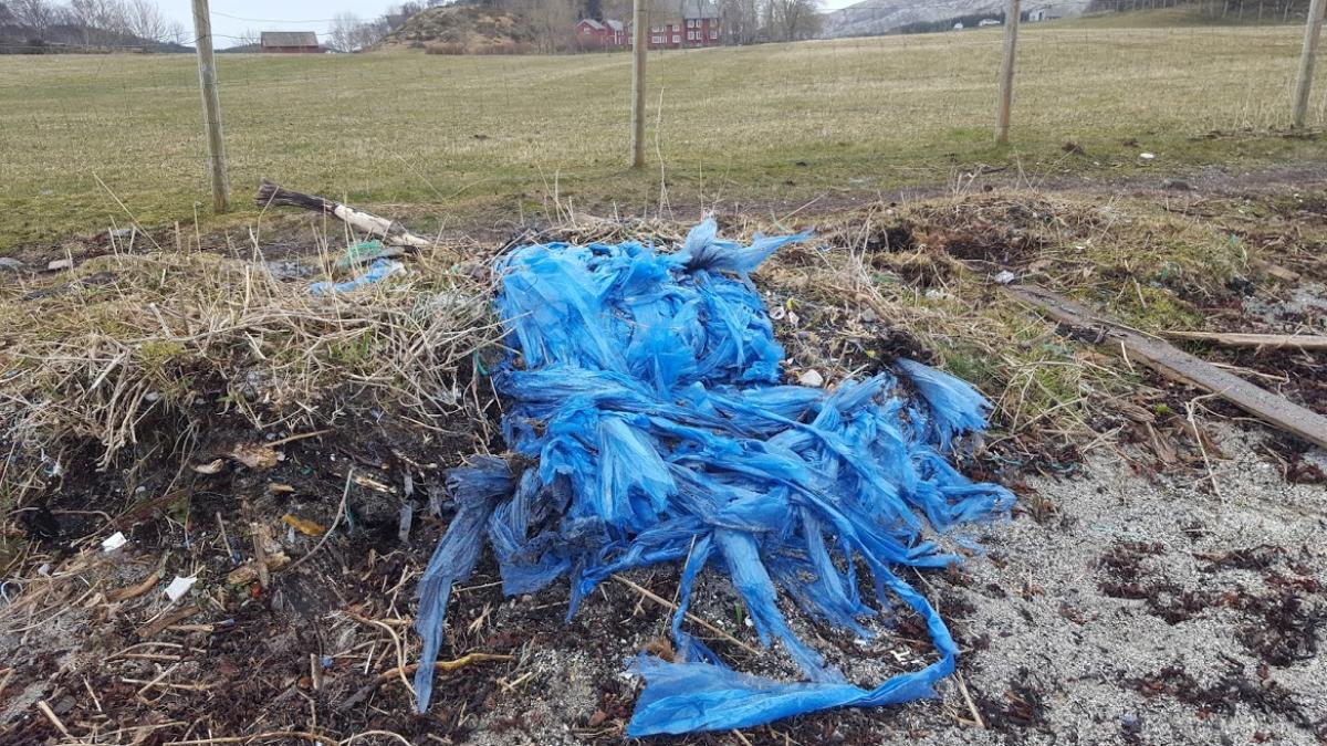 Friluftsrådene står sterkt! - headerbilde